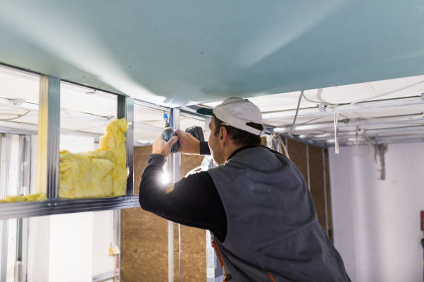 Best Specialty Insulation in Sarasota Springs, FL