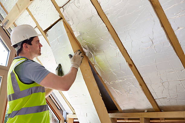 Best Residential Insulation in Sarasota Springs, FL